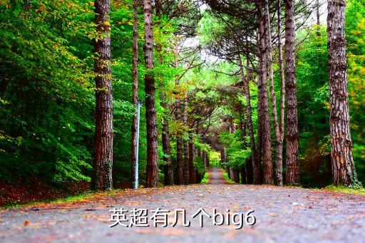 哪個足球聯(lián)賽時間最六