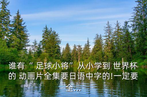 誰有“ 足球小將”從小學到 世界杯的 動畫片全集要日語中字的!一定要全...