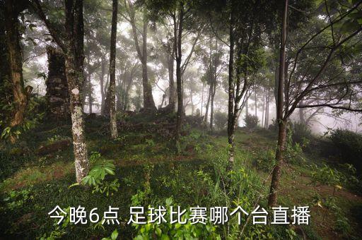 今晚6點(diǎn) 足球比賽哪個(gè)臺(tái)直播