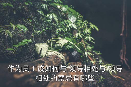 作為員工該如何與 領導相處與 領導相處的禁忌有哪些