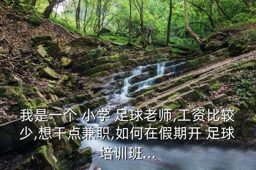 我是一個(gè) 小學(xué) 足球老師,工資比較少,想干點(diǎn)兼職,如何在假期開 足球培訓(xùn)班...