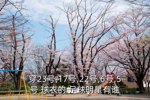 穿23號(hào),17號(hào),22號(hào),6號(hào),5號(hào) 球衣的 足球明星有誰