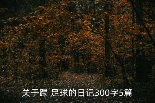 關于踢 足球的日記300字5篇