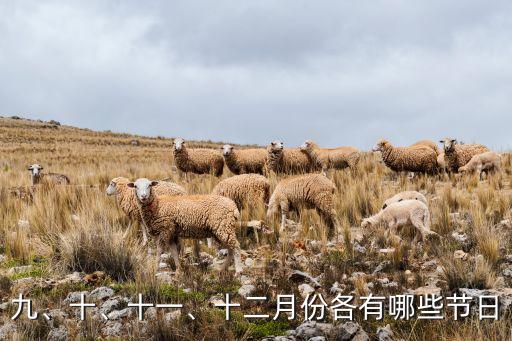 九、十、十一、十二月份各有哪些節(jié)日
