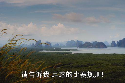 請(qǐng)告訴我 足球的比賽規(guī)則!