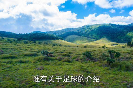 誰有關于足球的介紹