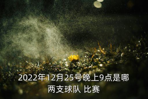 2022年12月25號晚上9點是哪兩支球隊 比賽