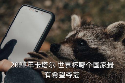 2022年卡塔爾 世界杯哪個(gè)國家最有希望奪冠