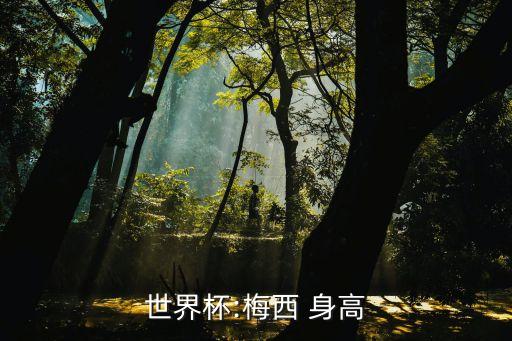 世界杯:梅西 身高