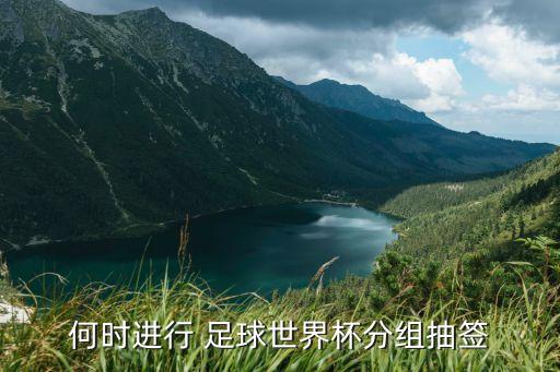 何時進行 足球世界杯分組抽簽