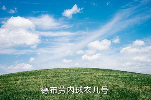2018德國(guó)足球1號(hào),截止2018德國(guó)男子足球的主教練