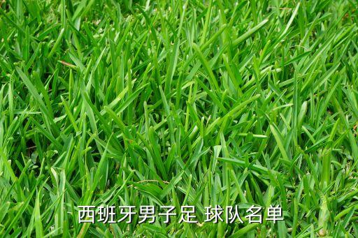 西班牙海島足球球隊