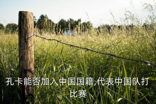 上港集團(tuán)足球俱樂(lè)部隊(duì)員名,上海上港集團(tuán)足球俱樂(lè)部有限公司