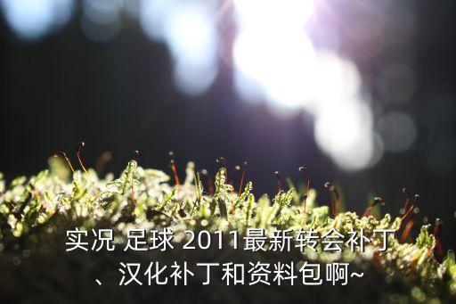  實(shí)況 足球 2011最新轉(zhuǎn)會(huì)補(bǔ)丁、漢化補(bǔ)丁和資料包啊~