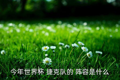 2006捷克足球陣容,捷克足球國家隊(duì)陣容