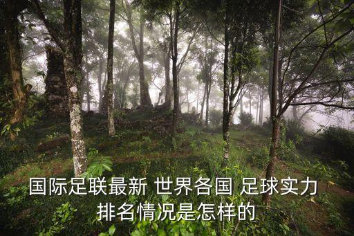 國(guó)際足聯(lián)最新 世界各國(guó) 足球?qū)嵙?排名情況是怎樣的