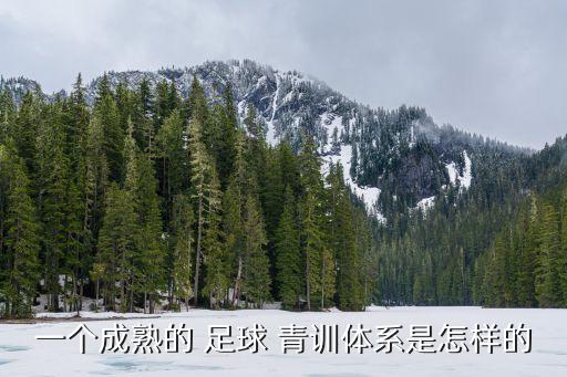 一個成熟的 足球 青訓體系是怎樣的