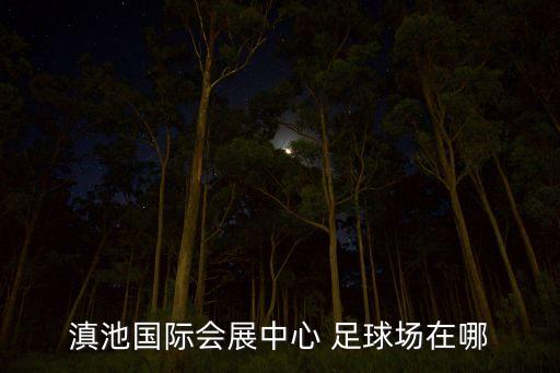 滇池國際會(huì)展中心 足球場(chǎng)在哪