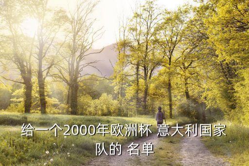 給一個(gè)2000年歐洲杯 意大利國(guó)家隊(duì)的 名單