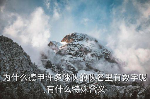 為什么德甲許多球隊的隊名里有數(shù)字呢,有什么特殊含義