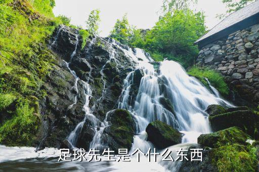 中國(guó)足球最高榮譽(yù)的人