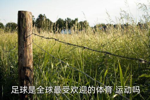  足球是全球最受歡迎的體育 運(yùn)動嗎
