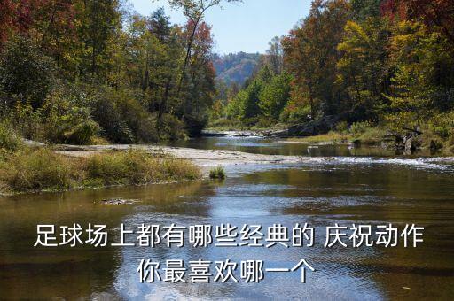  足球場(chǎng)上都有哪些經(jīng)典的 慶祝動(dòng)作你最喜歡哪一個(gè)
