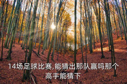 14場足球比賽,能猜出那隊贏嗎那個高手能猜下