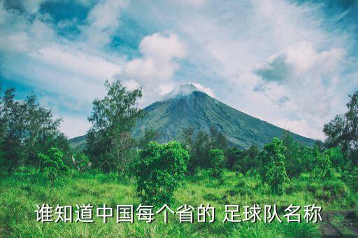 誰(shuí)知道中國(guó)每個(gè)省的 足球隊(duì)名稱