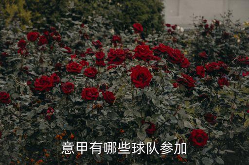意甲有哪些球隊(duì)參加