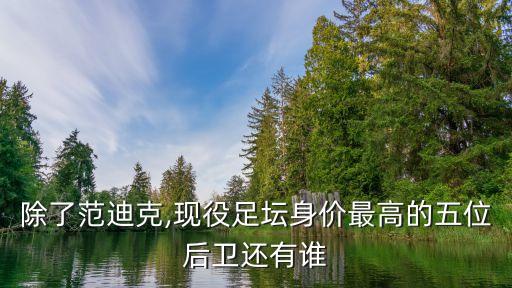 除了范迪克,現役足壇身價最高的五位后衛(wèi)還有誰