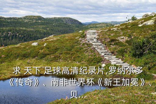 求 天下 足球高清紀錄片,羅納爾多《傳奇》、南非世界杯《新王加冕》、貝...