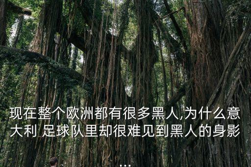 現(xiàn)在整個歐洲都有很多黑人,為什么意大利 足球隊里卻很難見到黑人的身影...