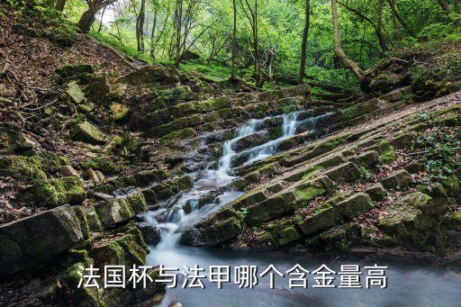  法國杯與法甲哪個(gè)含金量高