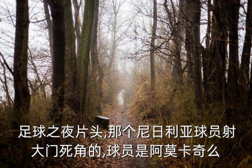  足球之夜片頭,那個(gè)尼日利亞球員射大門(mén)死角的,球員是阿莫卡奇么