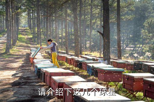 請介紹下這幾個(gè)球星