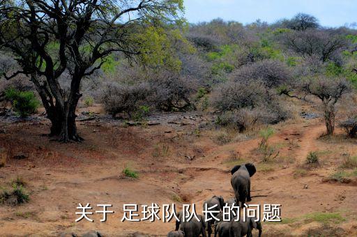 關于 足球隊隊長的問題