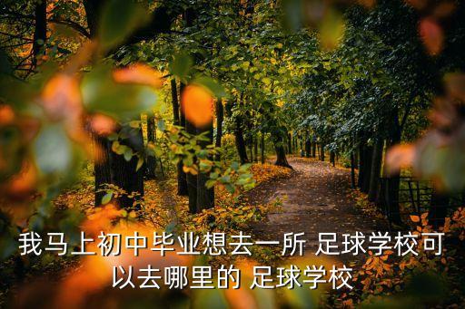 我馬上初中畢業(yè)想去一所 足球學?？梢匀ツ睦锏?足球學校