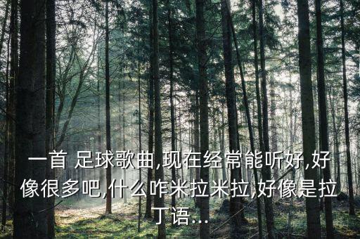 一首 足球歌曲,現(xiàn)在經(jīng)常能聽(tīng)好,好像很多吧,什么咋米拉米拉,好像是拉丁語(yǔ)...