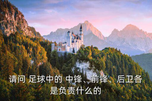 請(qǐng)問(wèn) 足球中的 中鋒、前鋒、后衛(wèi)各是負(fù)責(zé)什么的