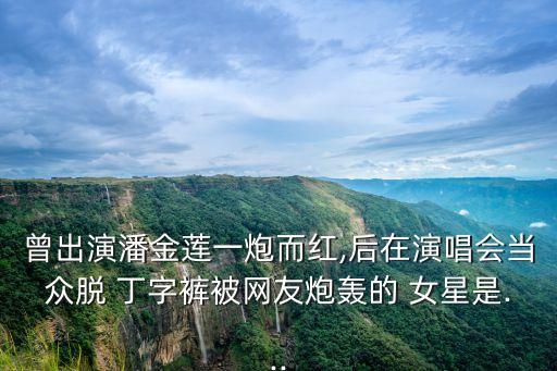 曾出演潘金蓮一炮而紅,后在演唱會當眾脫 丁字褲被網(wǎng)友炮轟的 女星是...
