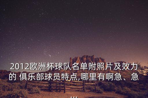 2012歐洲杯球隊名單附照片及效力的 俱樂部球員特點,哪里有啊急、急...