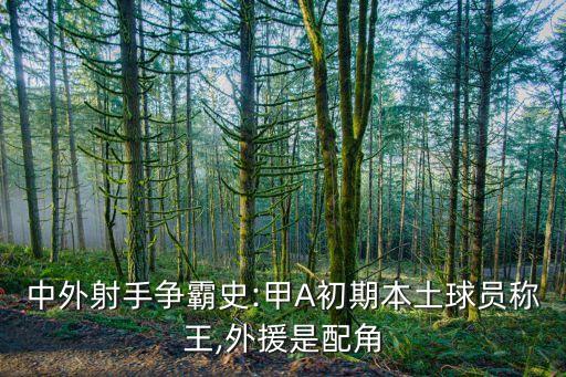中外射手爭(zhēng)霸史:甲A初期本土球員稱王,外援是配角