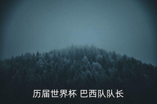歷屆世界杯 巴西隊(duì)隊(duì)長