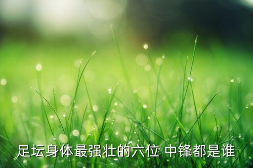 足壇身體最強(qiáng)壯的六位 中鋒都是誰(shuí)
