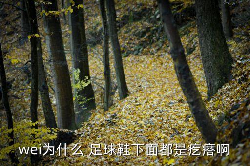 wei為什么 足球鞋下面都是疙瘩啊