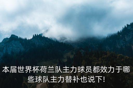 本屆世界杯荷蘭隊(duì)主力球員都效力于哪些球隊(duì)主力替補(bǔ)也說(shuō)下!