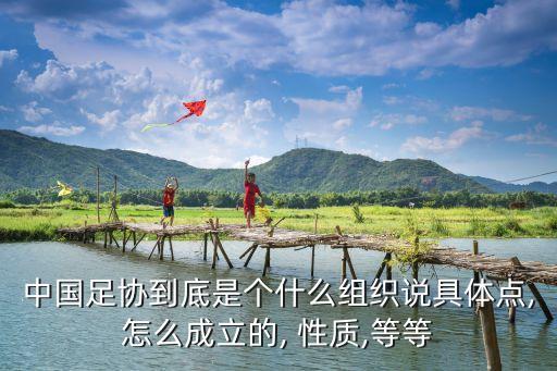 中國(guó)足協(xié)到底是個(gè)什么組織說具體點(diǎn),怎么成立的, 性質(zhì),等等