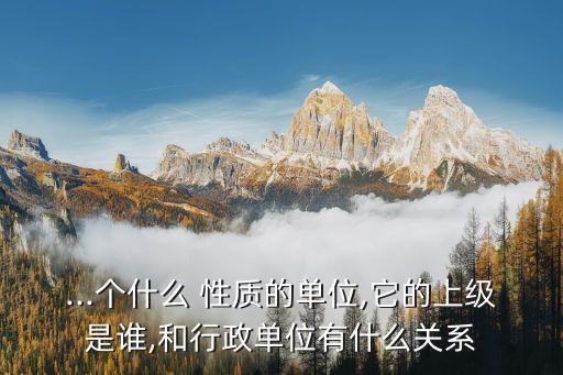...個(gè)什么 性質(zhì)的單位,它的上級(jí)是誰(shuí),和行政單位有什么關(guān)系