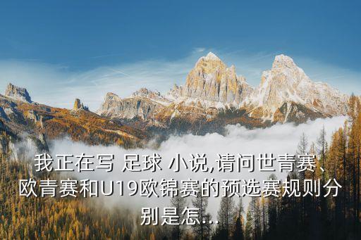 我正在寫 足球 小說,請問世青賽、歐青賽和U19歐錦賽的預(yù)選賽規(guī)則分別是怎...